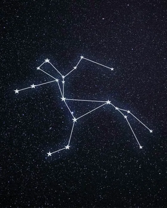 Constellation des Centaures