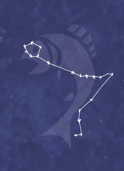 うお座の星座
