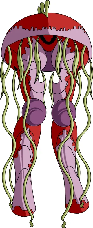 Meduse