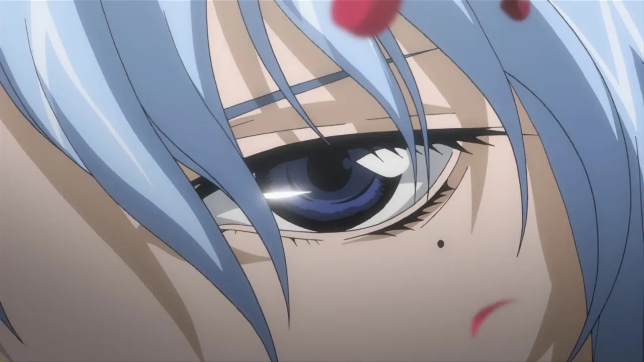 Épisode 5