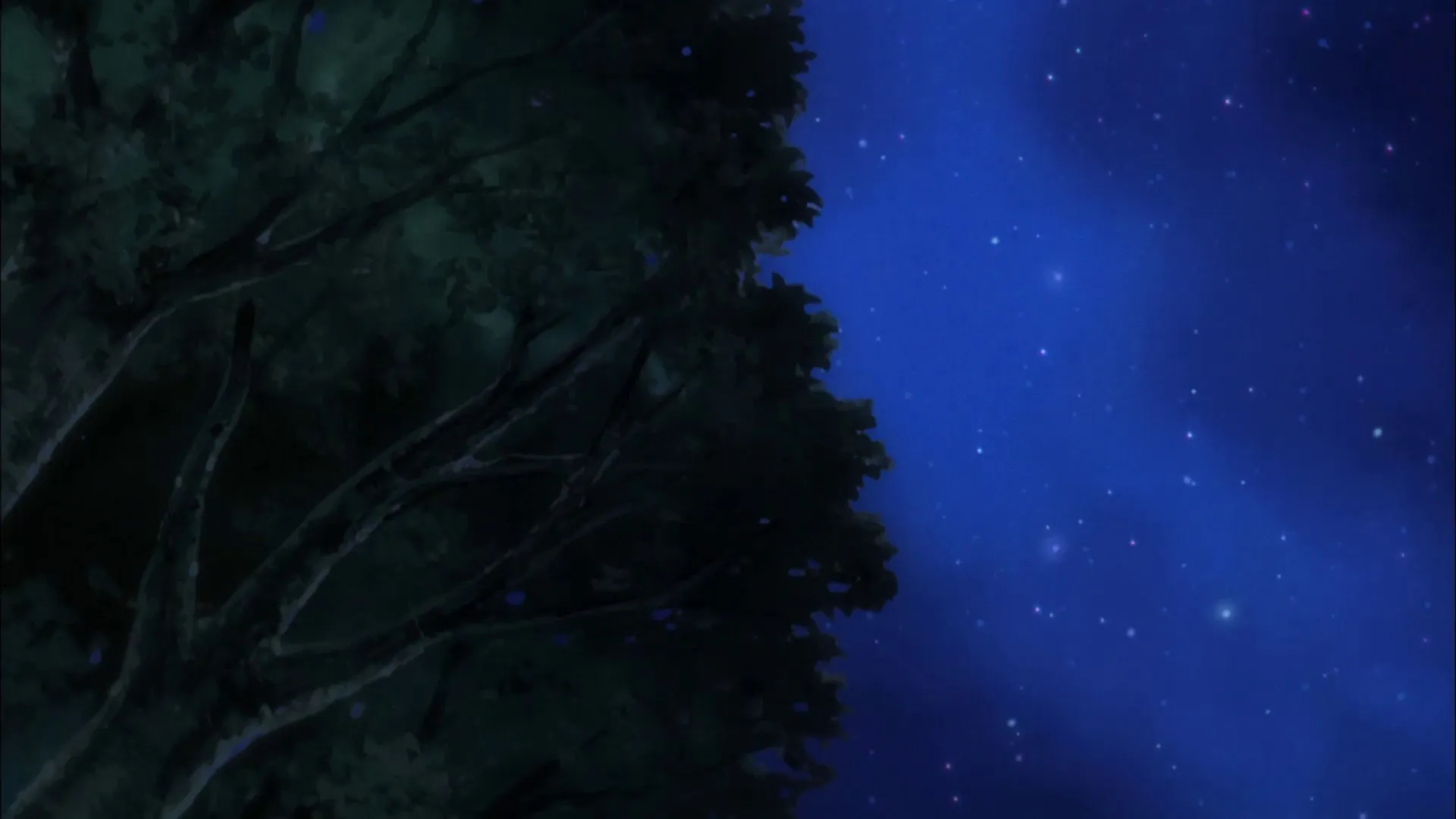 Folge 5